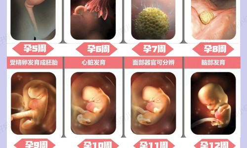 权威摇臂功法平台,分享专业手臂画圈正确动作要领知识_煅炼手摇臂画圈有什么功效网